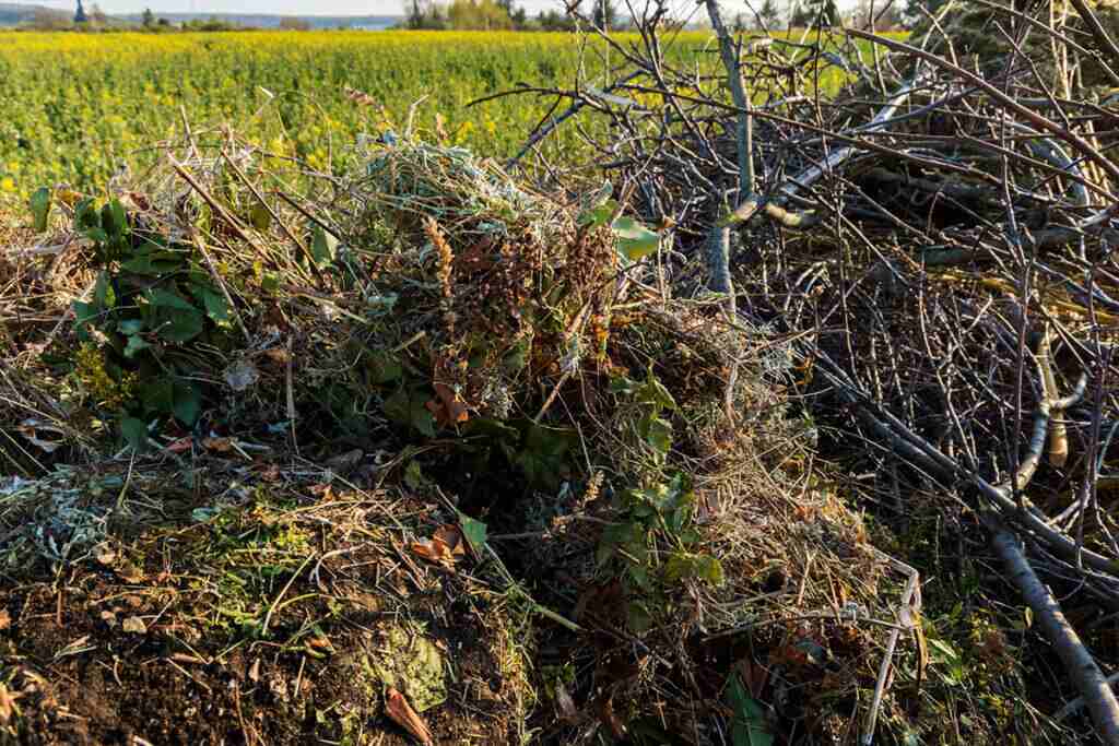 garden waste disposal